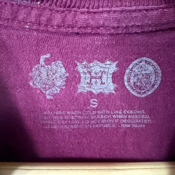 Halsey Love and Power Tour Maroon Graphic Tee - Picture 5 of 7